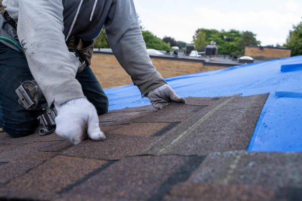 Professional Roofing Contractor in Junction City, OR