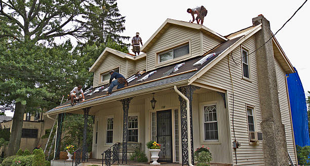 Best Roof Replacement Cost  in Junction City, OR