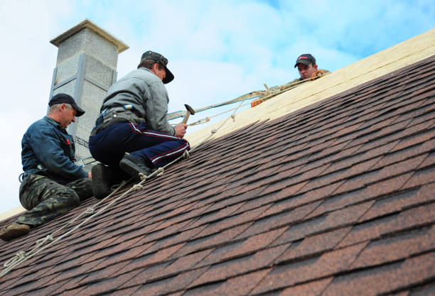 Best Roofing Contractors for Homes  in Junction City, OR