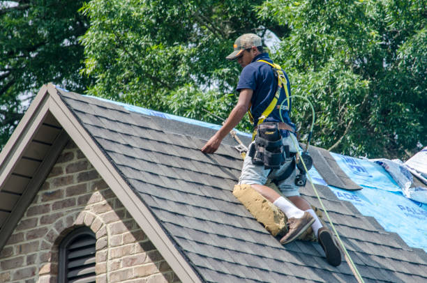 Best Metal Roofing Contractor  in Junction City, OR
