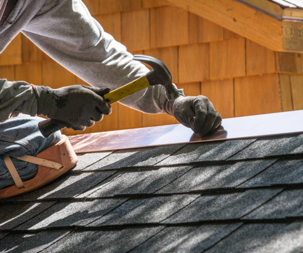 Best Roof Gutter Cleaning  in Junction City, OR